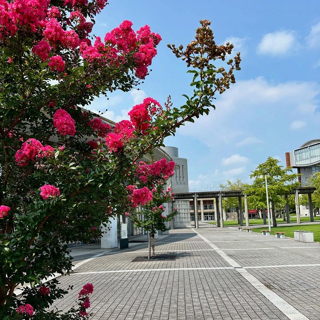 広島市立大学